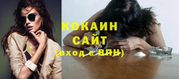 крисы Алексин