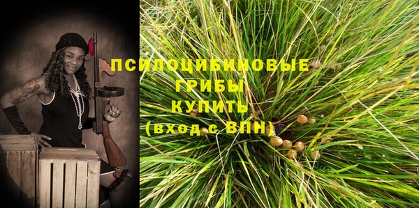 прущий лед Алексеевка