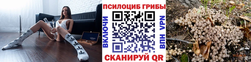 Псилоцибиновые грибы Psilocybe  Игра 